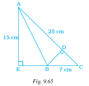 Page 295 Chapter 9 Class 7th NCERT Exemplar Page 295 Chapter 9 Class 7th NCERT Exemplar